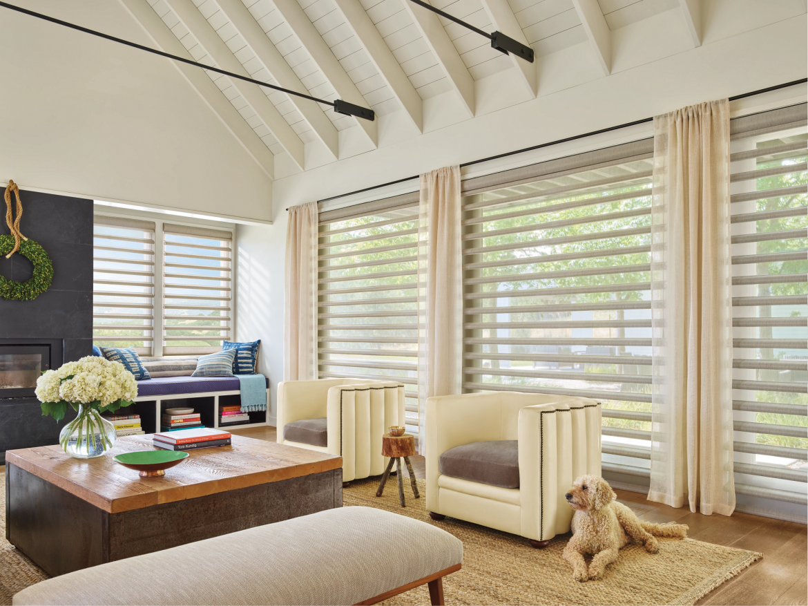 A room with a dog sitting on a rug and a coffee table