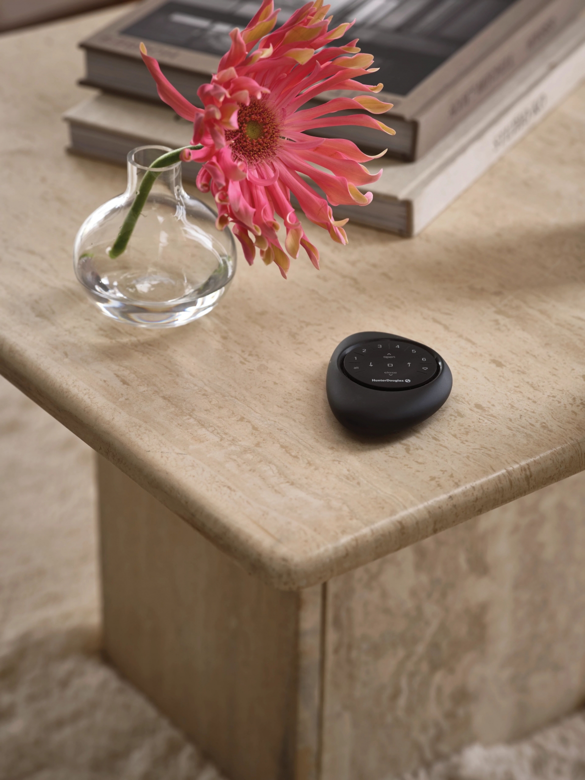 pebble remote