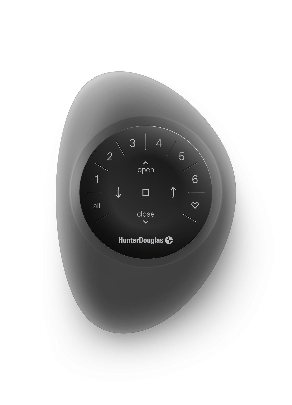 Pebble remote