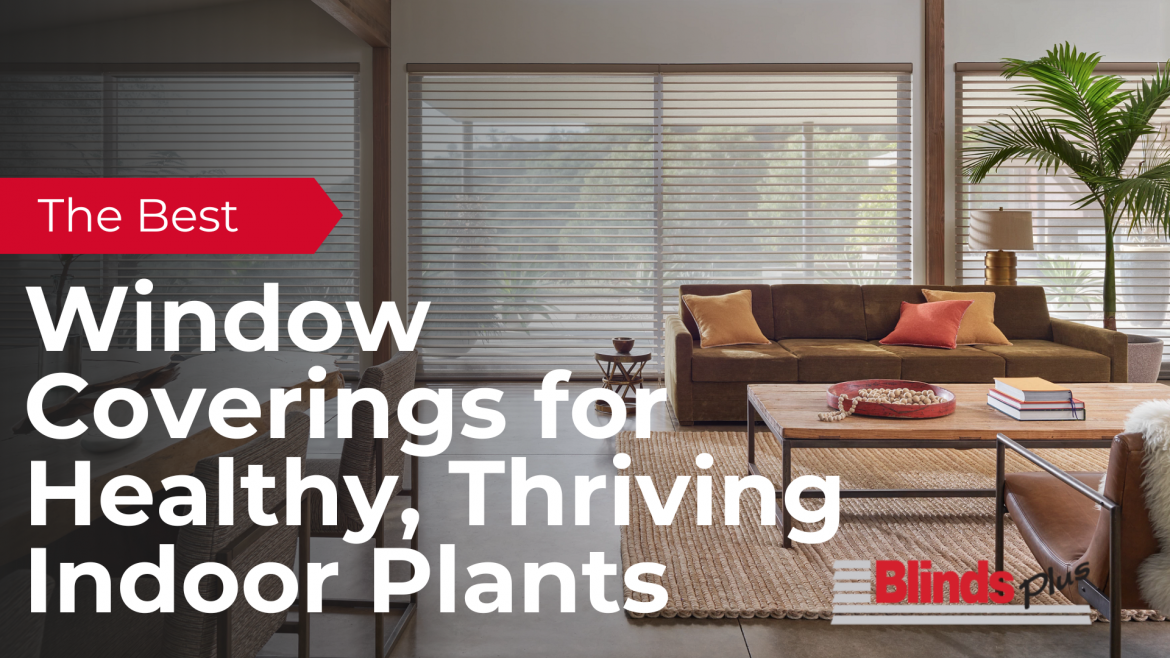 The Best Window Coverings for Healthy, Thriving Indoor Plants 