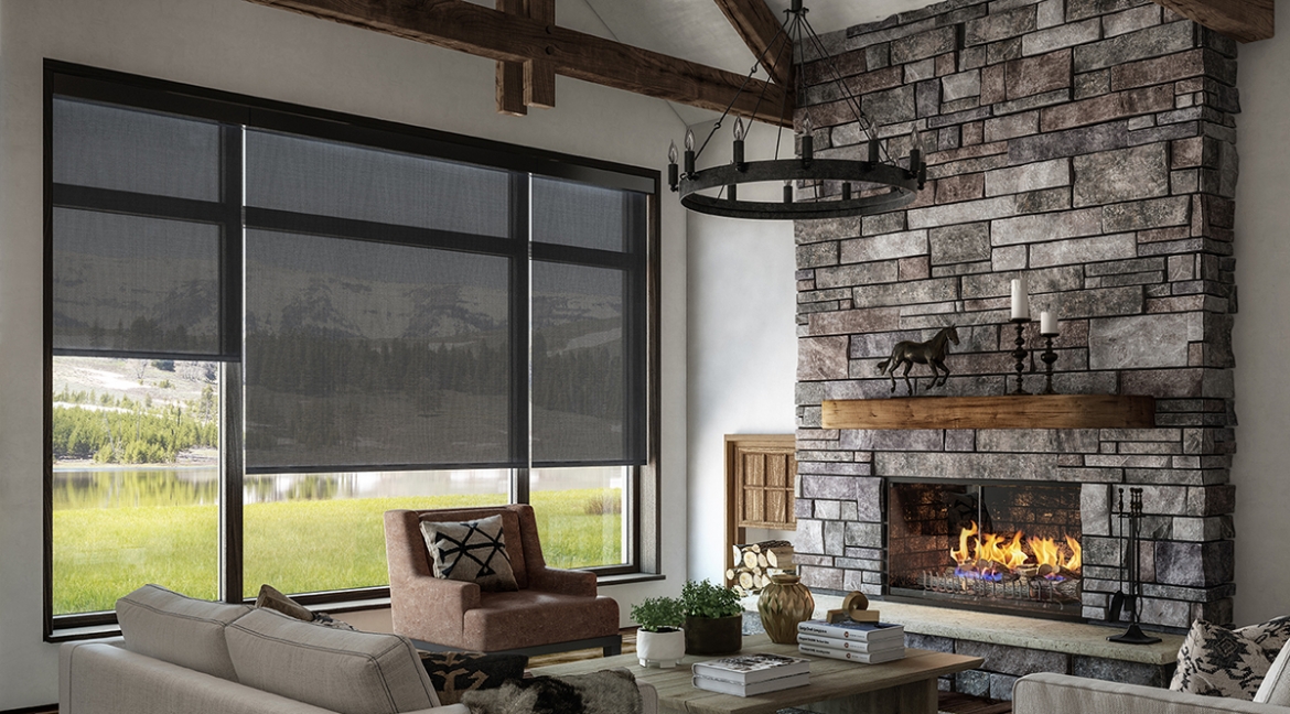 Black roller shades in a living room