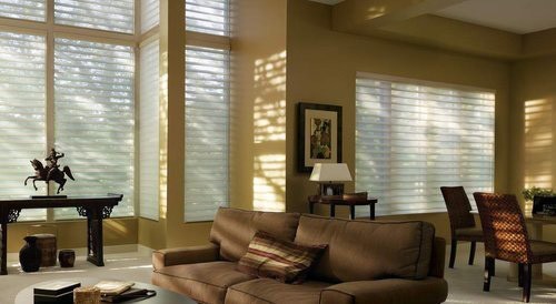 Silhouette|Blinds Plus and More